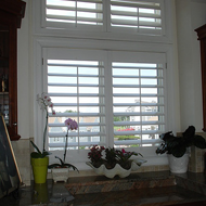White Window Shutters