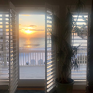 Window view